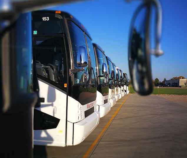 Line of parked Windstar Buses with view of windshields
